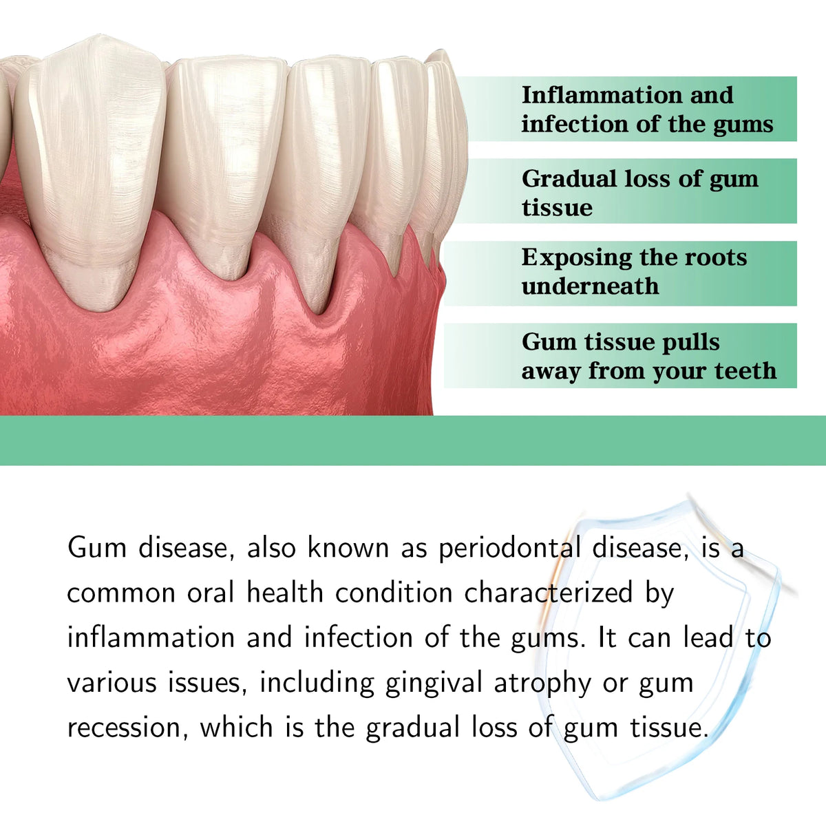 Restore Gum Health Suitable for Daily Use Long-Lasting Nourishment Easy to Use Mild Ingredients Oral Care Spray